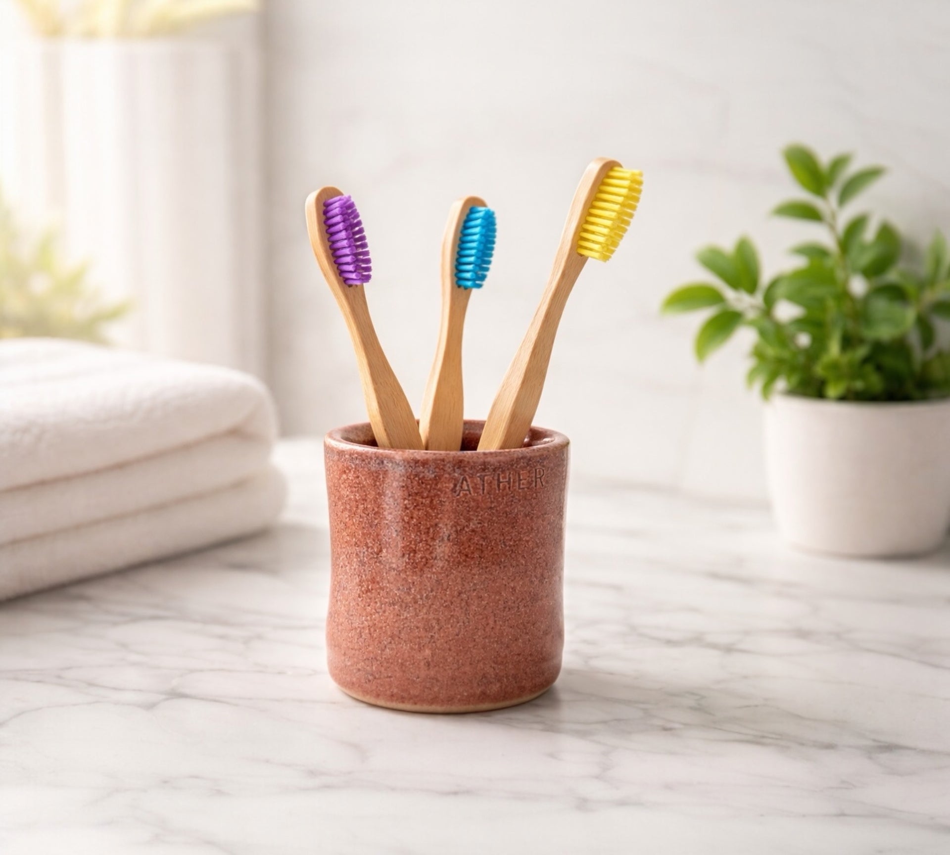 Toothbrush Holder