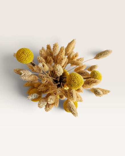 Petit Vase in Yellow with Dry Flowers