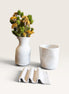 Ritual Set in White