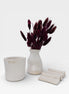 Ritual Set in Off-White