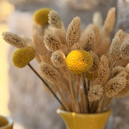 Petit Vase in Yellow with Dry Flowers