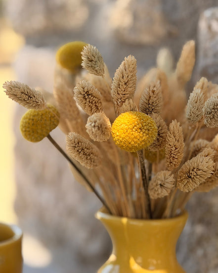 Petit Vase in Yellow with Dry Flowers