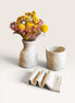 Ritual Set in Speckled White