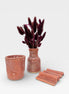 Ritual Set in Burnt Clay