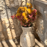 Petit Vase in Speckled White with Dry Flowers