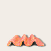 Soap Holder in Speckled Coral Red-Yellow