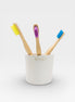 Toothbrush Holder in Off-White
