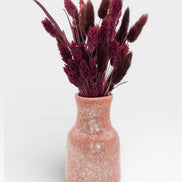 Petit Vase in Burnt Clay with Dry Flowers