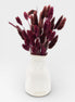 Petit Vase in Off-White with Dry Flowers